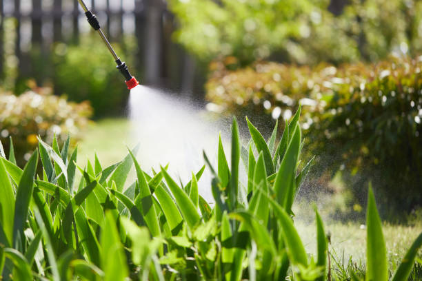 24/7 Emergency Wasp Removal experts in Charlotte Park, FL
