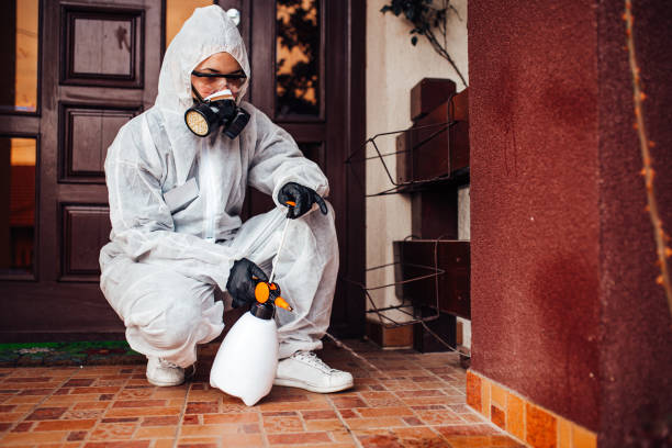 Reliable Wasp Removal contractor in Charlotte Park, FL by Show Me Pest Control