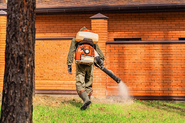 Top rated local Wasp Removal specialists in Charlotte Park, FL